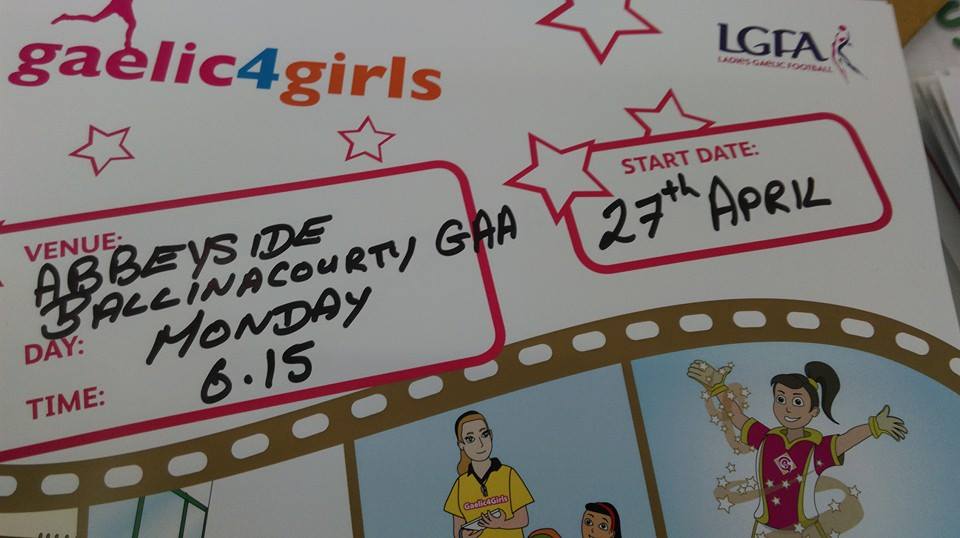 Abbeyside Ladies GAA tweet media