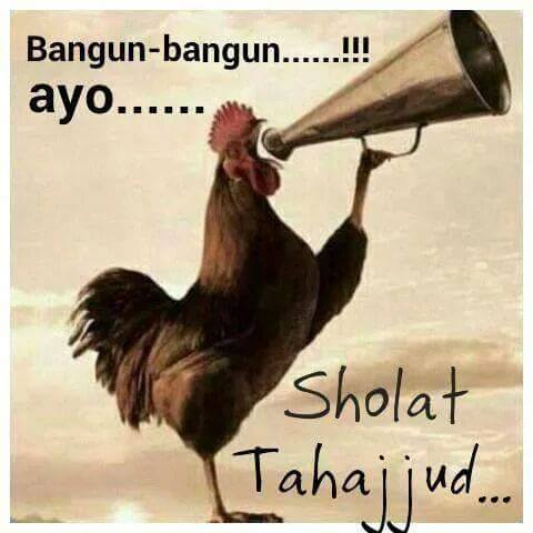elma_olala's tweet photo. Its Tahajud Time... Bangunn............ | http://t.co/ocMK0MVDno