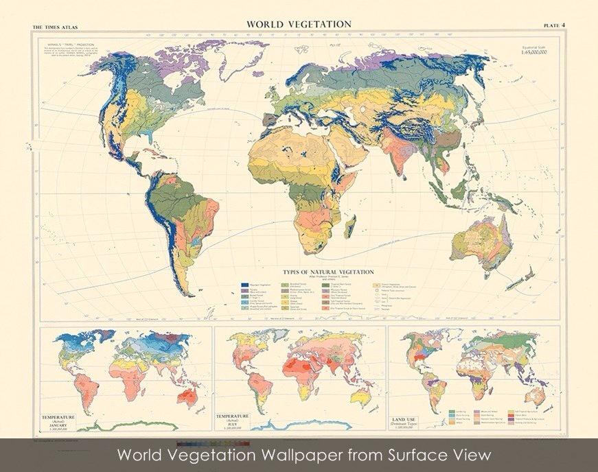 jeannie_rich's tweet photo. Happy Earth Day! ( Collins Bartholomew Vintage Maps - @surfaceview ) #patternsnap #EarthDay http://t.co/g2CY6PXoB6
