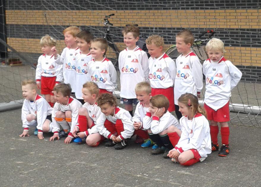 Bron: De Foresters