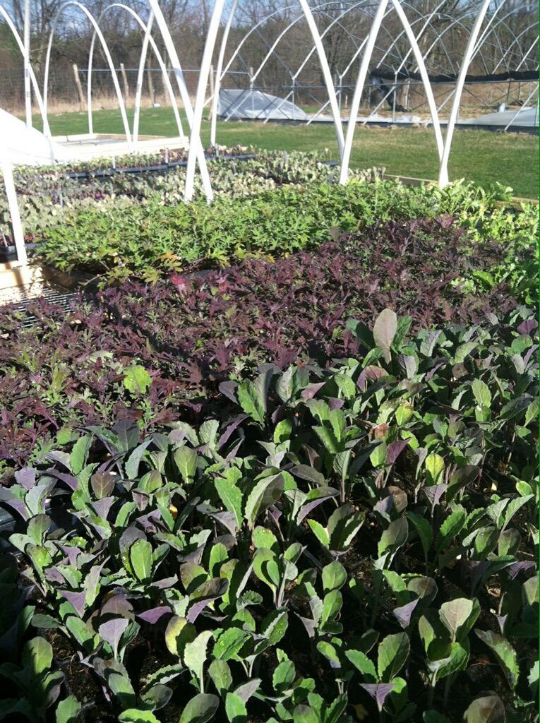 FramFarm's tweet photo. Happy #EarthDay! http://t.co/sT7n2ZFyIq
