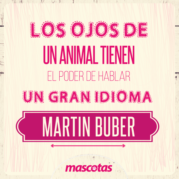 MascotasET's tweet photo. http://t.co/UP3Bd84Y7I