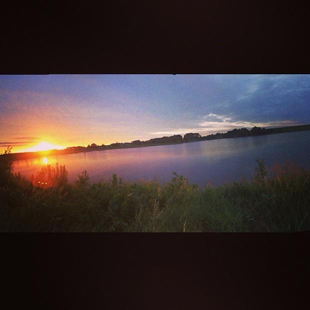 _Haleys_Comet's tweet photo. S/O to our beautiful earth for feeding the world and also paying my bills. #moneygrowsinrows #EarthDay #Home http://t.co/qbtvlDk6vY