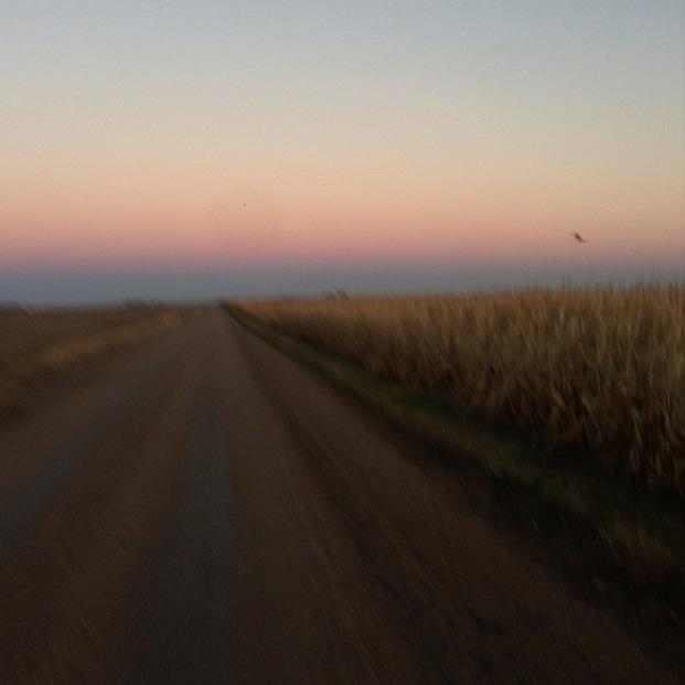 _Haleys_Comet's tweet photo. S/O to our beautiful earth for feeding the world and also paying my bills. #moneygrowsinrows #EarthDay #Home http://t.co/qbtvlDk6vY