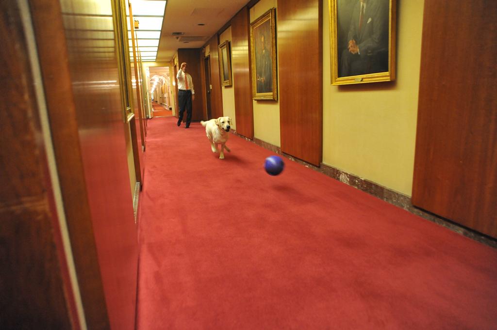 Benjamin F. Kerry tweet media