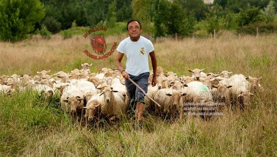 Enlace permanente de imagen incrustada