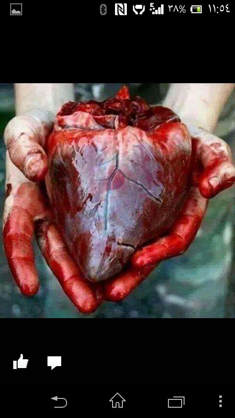 TalbNat tweet picture
