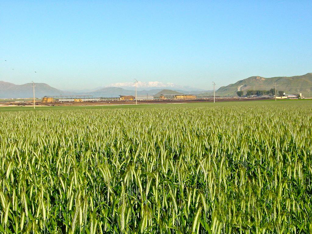 AgWasteSolution's tweet photo. Happy #EarthDay ! The #earth is everyone's responsibility. http://t.co/RNXzlVc4xz