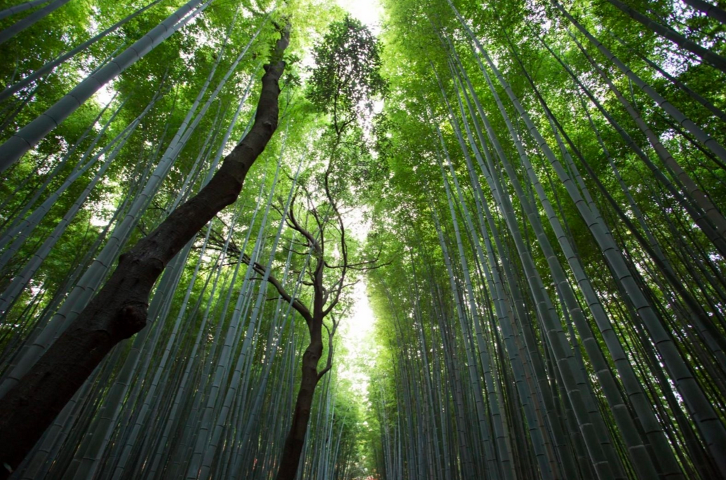 sayhi's tweet photo. Taking the time for stillness and gratitude... (a good reminder!) http://t.co/genV06AySP http://t.co/pLCkaKGOKI