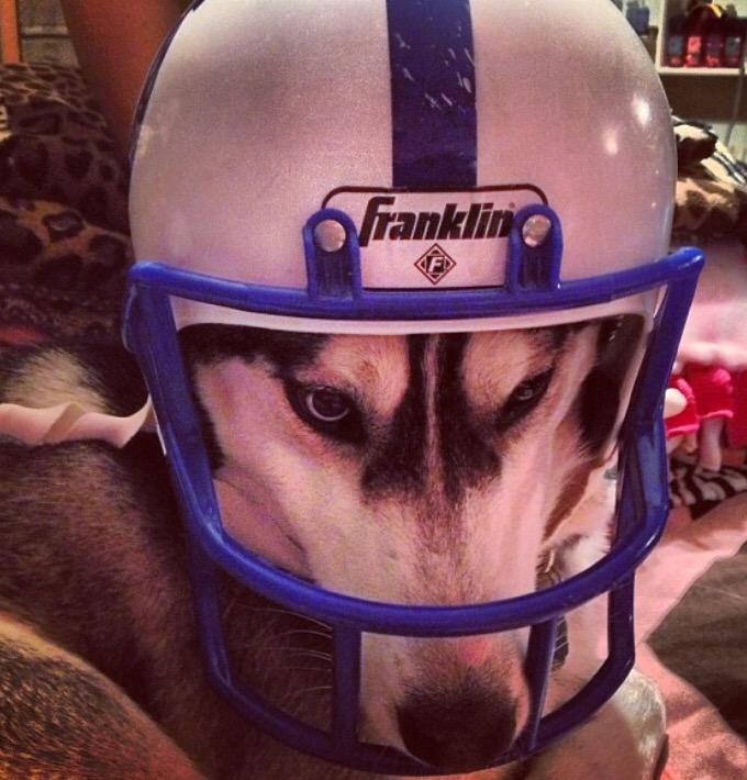 lishagirl210's tweet photo. When you miss @PatMcAfeeShow giving away tickets on Twitter. #ISupportChuckstrong Well #ApacheSupportsChuckStrong http://t.co/nVD4Vwu2VL