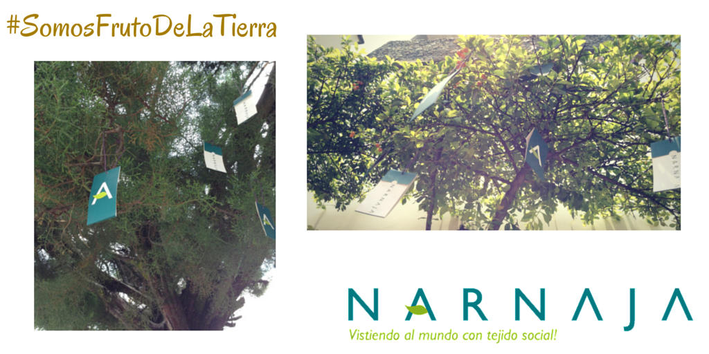 NarnajaColombia's tweet photo. *|Día de la Tierra|*
Porque todos #SomosFrutoDeLaTierra http://t.co/cBNmKpC4MA