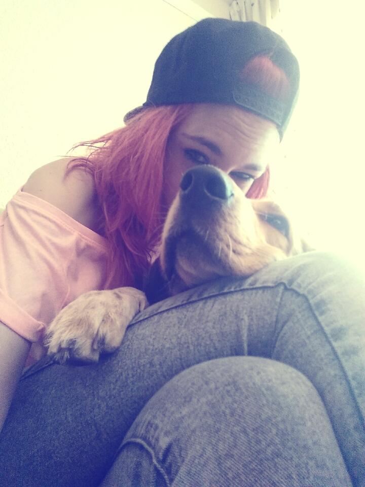 mortDouce's tweet photo. Mientras mi alma siga respirando seguire siendo la voz de cada animal.  ♡ http://t.co/fh3MEmD5sJ