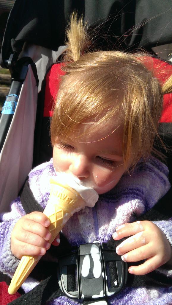 Howardcarpentry's tweet photo. Our brand ambassador having a cheeky ice cream after a long walk in the #Herefordshire #countryside today :-) http://t.co/UhhgcRAUTL