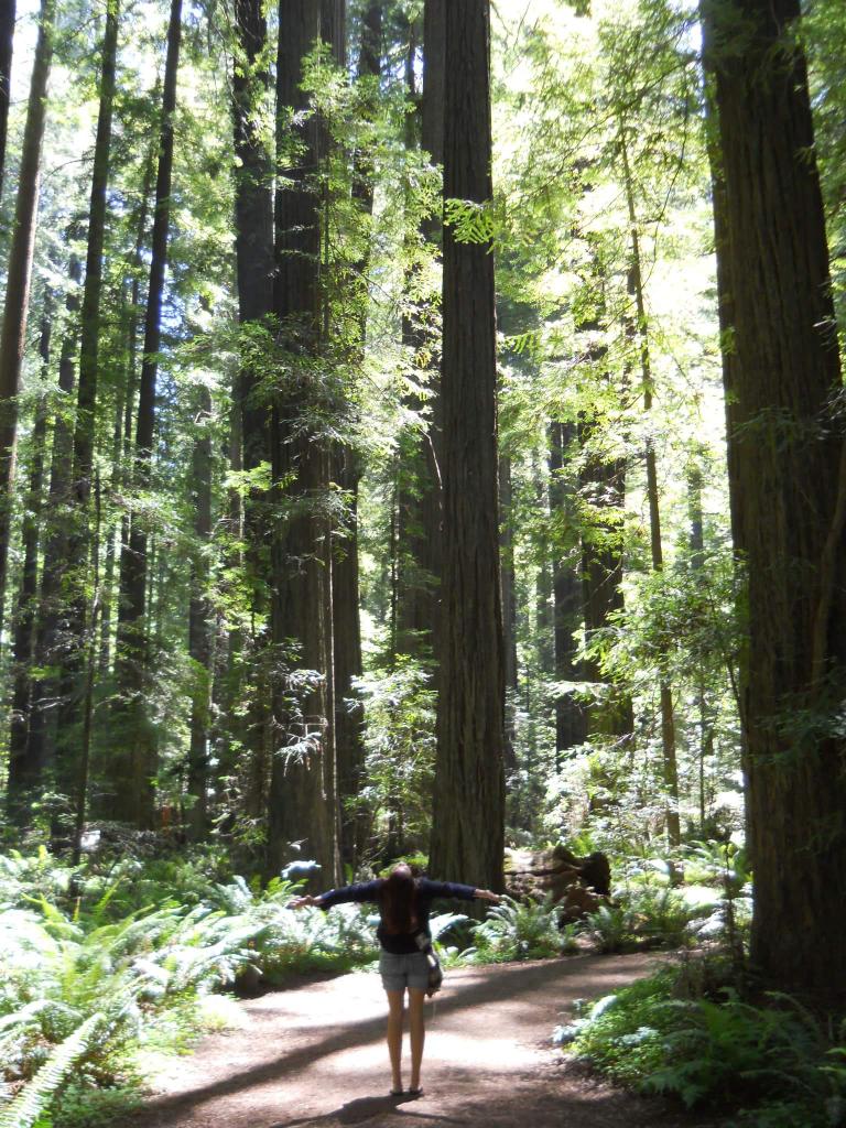 taarv's tweet photo. Good shit Earth. Keep it up. #EarthDay2015 #EarthDayEveryDay #KingoftheTrees #TheTreemeister http://t.co/9lptr35czy