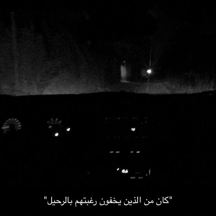 سنابيات. tweet media