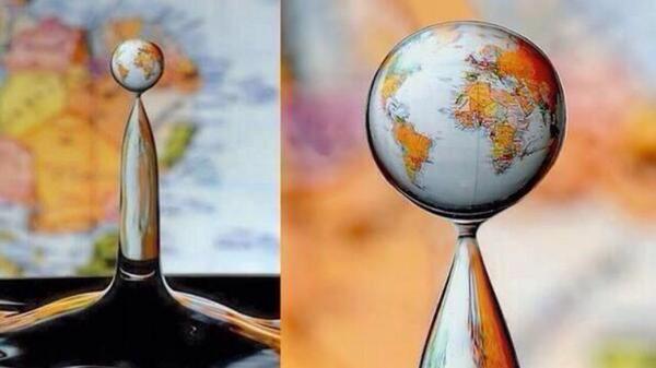 Science WTF tweet media
