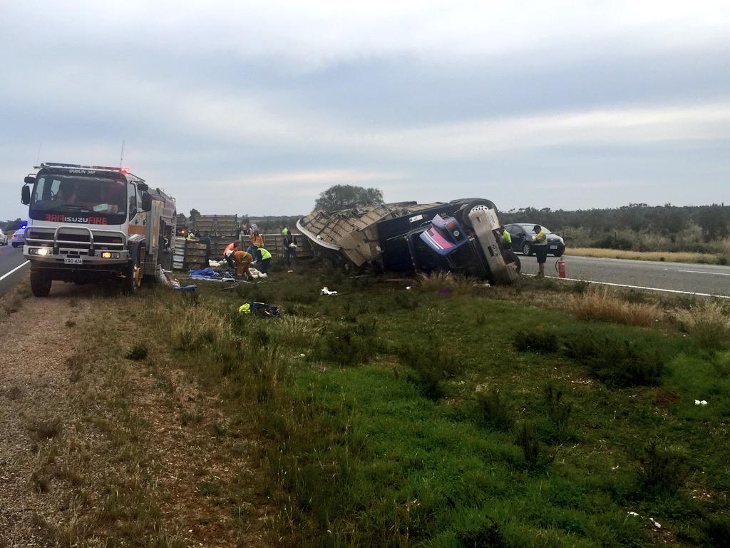 MatthewPantelis's tweet photo. 3.5k chooks on o/turned truck #PtWakefield Rd #LowerLight, driver non life threaten inj. Clean up u/way #FIVEaaNews http://t.co/Qk3QpTfCXH