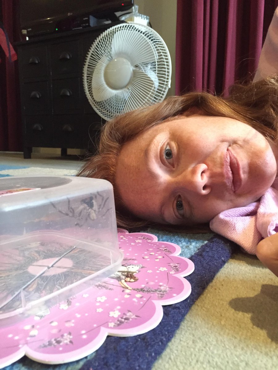 FunnyGuysAU's tweet photo. @rickygervais A  spider my wife subdued after intense hand to leg combat. Try that giraffe lady! #getbiggercontainer http://t.co/6emEsEwxJz