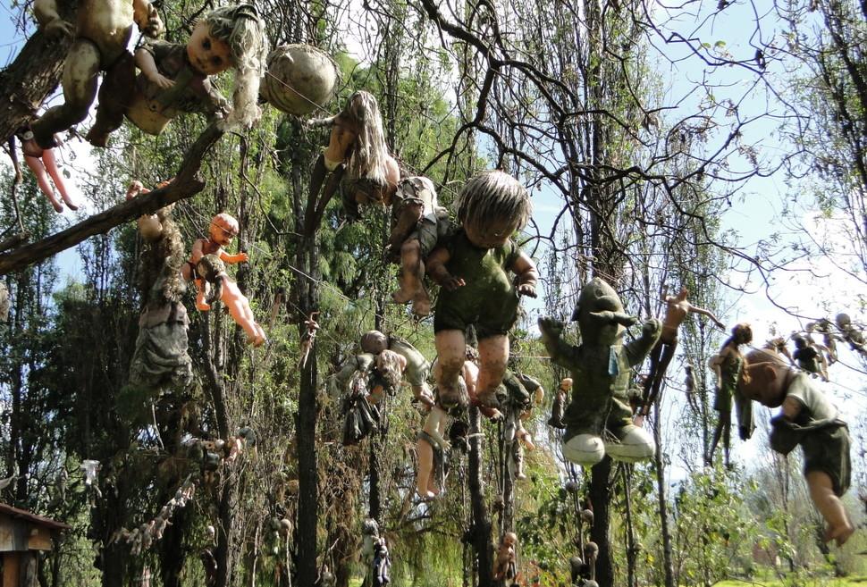 world_para's tweet photo. Anyone wanna spend a night in the Island of the Dolls in Mexico with us? http://t.co/D0Y1pH19e7