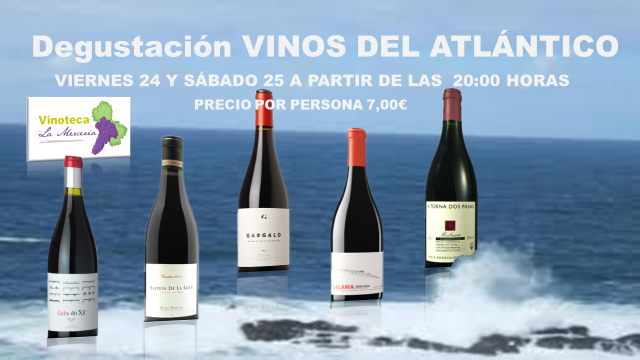 VMerceria's tweet photo. Este fin de semana #vinos atlánticos. OS ESPERAMOS. http://t.co/1MGKP8oD4h