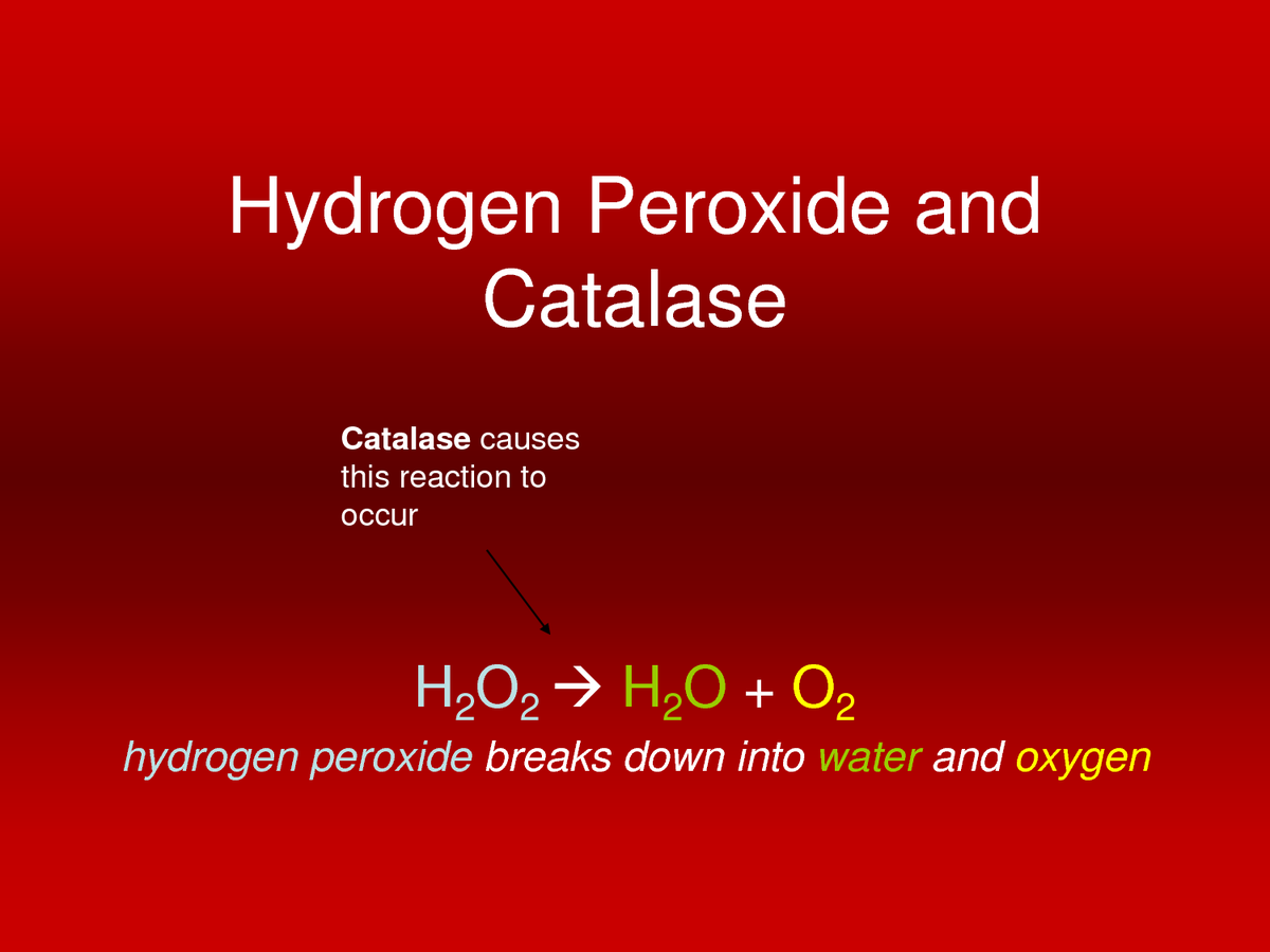 NGHCatalase's tweet photo. #catalase http://t.co/DbW6dhVjEp