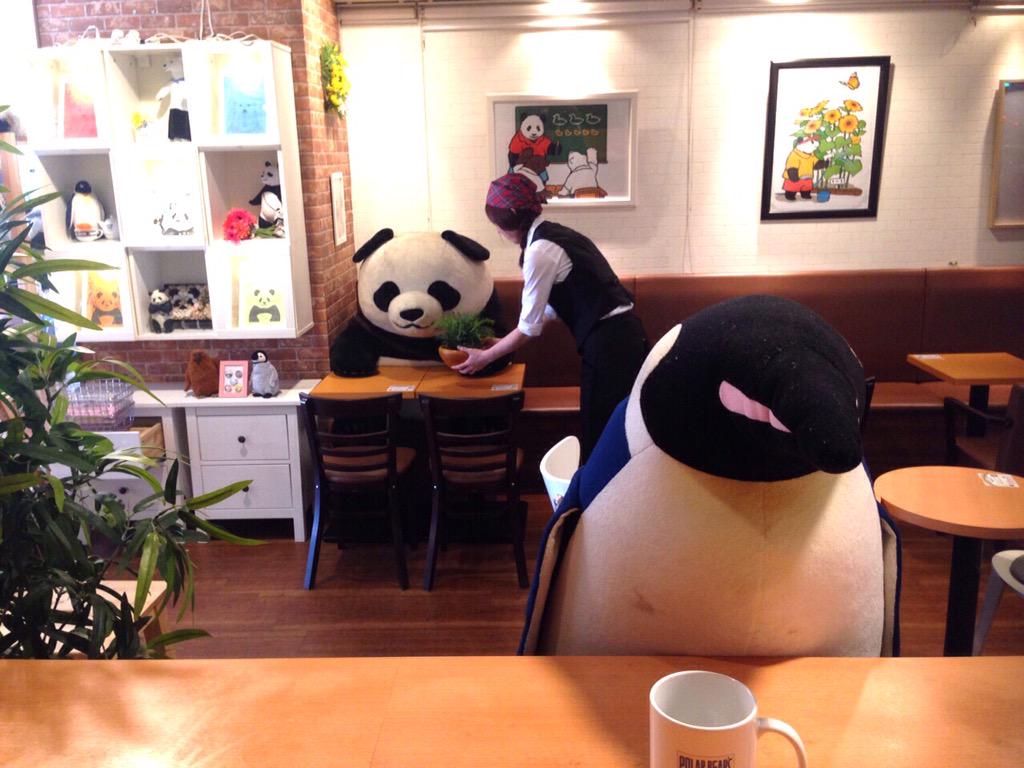 しろくまカフェ宮古島店 開店準備中 Twitter પર きまぐれパンダくん 笹子さん 笹大盛りおかわり おまたせ パンダくん またテーブル席に座ってるの なんとなく ペンギンさんを後ろから見ていようと思って パンダくん 4月の平日は毎日