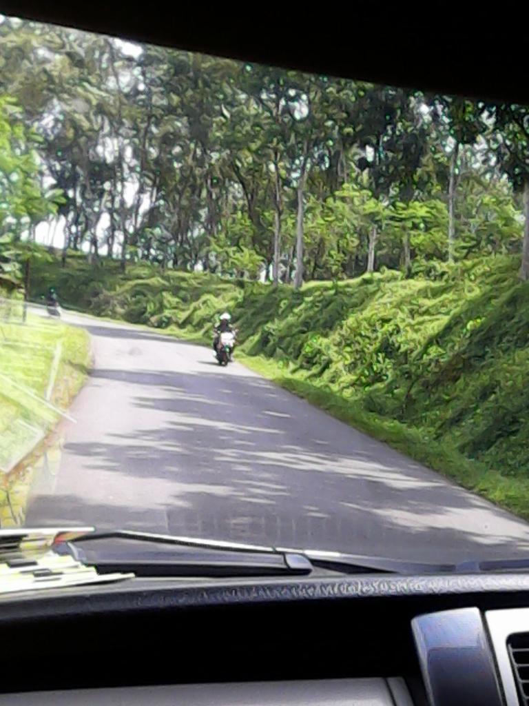 newsputihabu's tweet photo. OTW SMAN 1 Rancah dan SMAN 1 Kawali nih, indahnya lewat perkebunan karet dan pisang, sejuk! #CiamisManis ^CR http://t.co/6jAWliQH8h