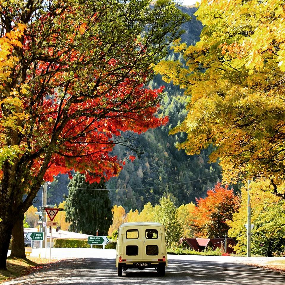 Arrowtown is a sea of #autumn colour at the moment
