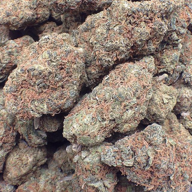 WEEDOFIG's tweet photo. Here's the DOGO Bubblegum we just added to our menu! Very sweet smell and flavor.
#budssb #buds #nugs #trees #mmj … http://t.co/8czelvOz6G