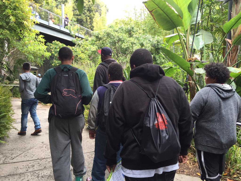 sdteacher25's tweet photo. Watching the non-human primates with my human primates on the Monkey Trail with @memovation @CajonValleyUSD http://t.co/i44PI77Uq8