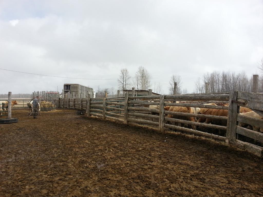Grandview Farms tweet media