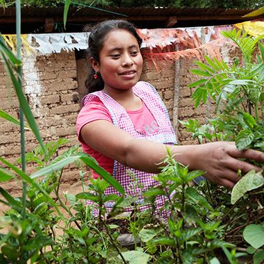 Heifer International tweet media