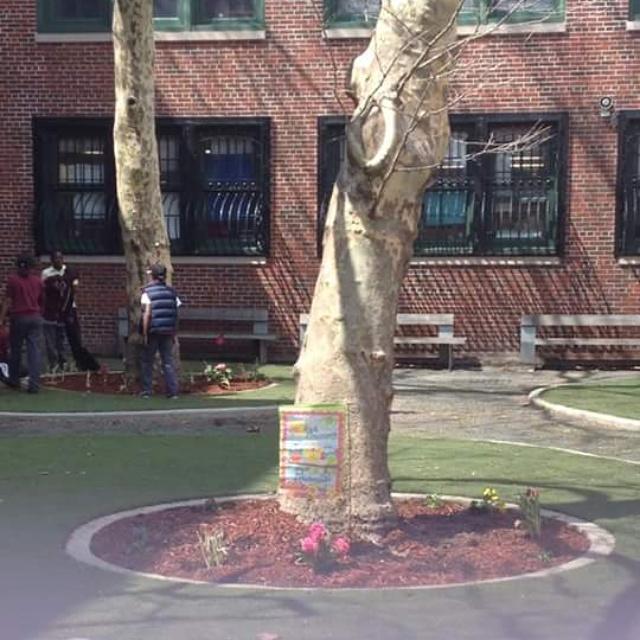 toonstosave's tweet photo. Celebrating Earth Day 🌍 cleaning & Planting with the science teacher Ms.Ford #Ps273 #uft @BrianUFT #EarthDay #abc7ny http://t.co/CwgzfToRvW