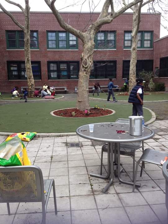 toonstosave's tweet photo. Celebrating Earth Day 🌍 cleaning & Planting with the science teacher Ms.Ford #Ps273 #uft @BrianUFT #EarthDay #abc7ny http://t.co/CwgzfToRvW