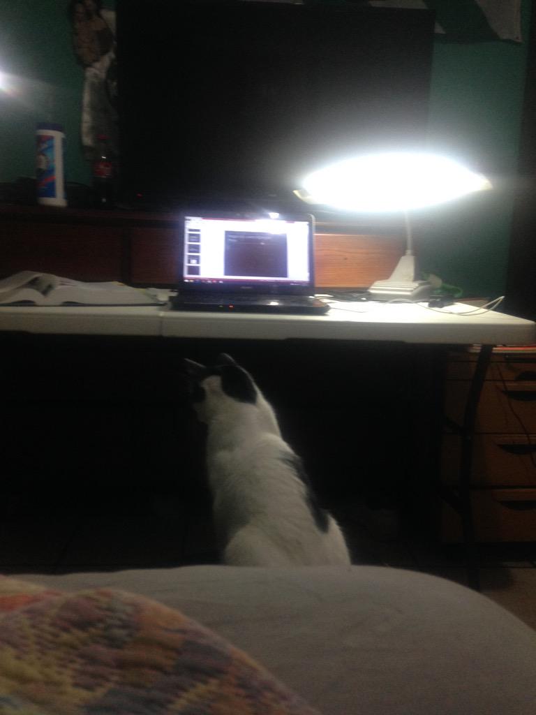 memorojasm's tweet photo. Corazón termina mis pendientes #Pofavoo 😢 http://t.co/cXvmAjUatK