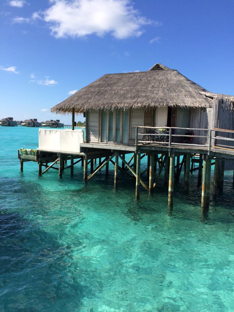 buxsieluke's tweet photo. @SixSensesLaamu doesn't get any better than this. http://t.co/B2KItGu1br