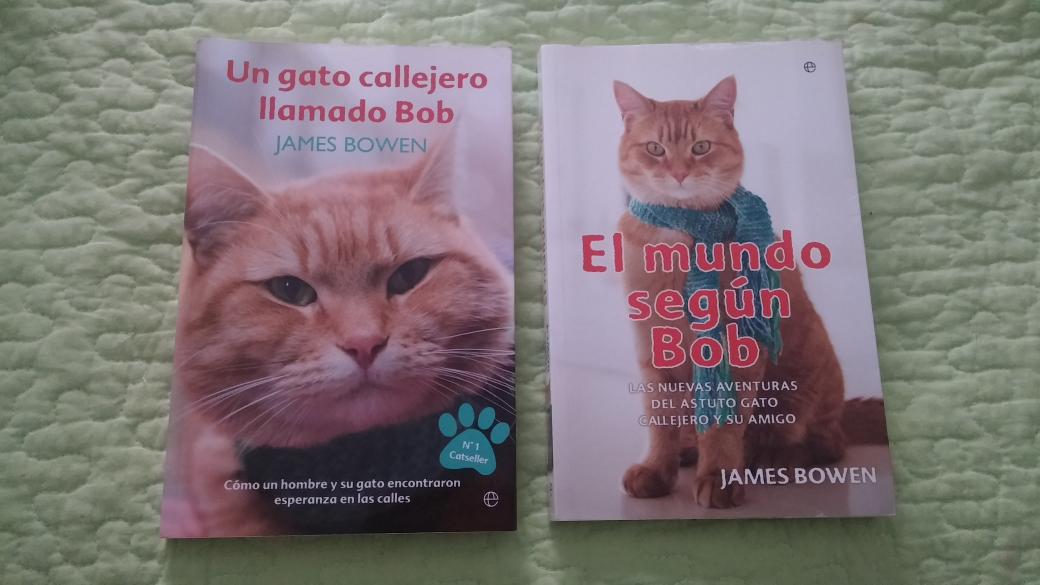 Enlace permanente de imagen incrustada