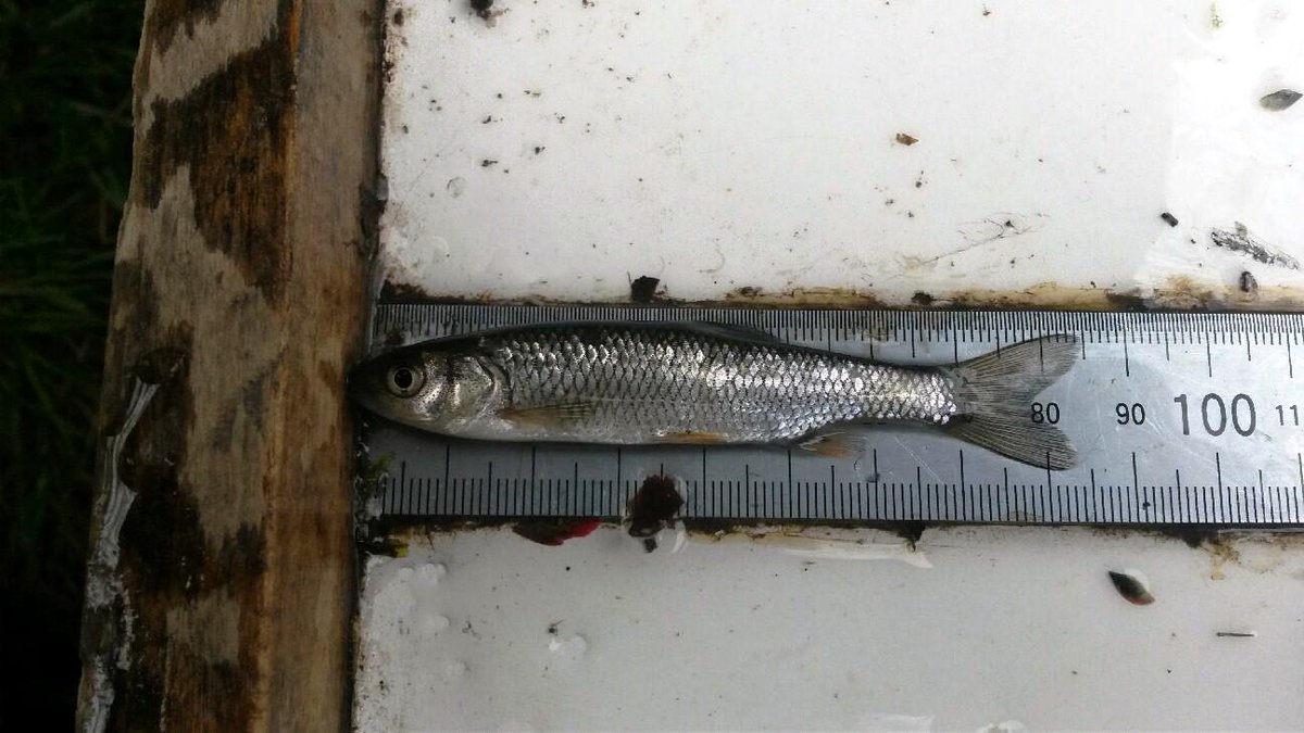 River Annan Trust tweet media