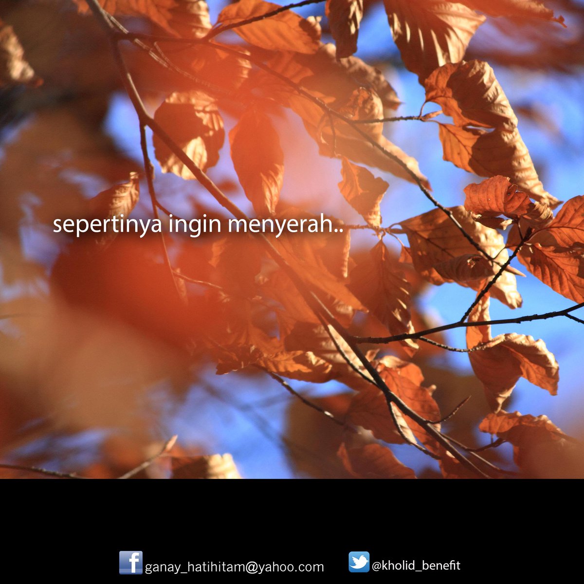 sepertinya inginyerah..