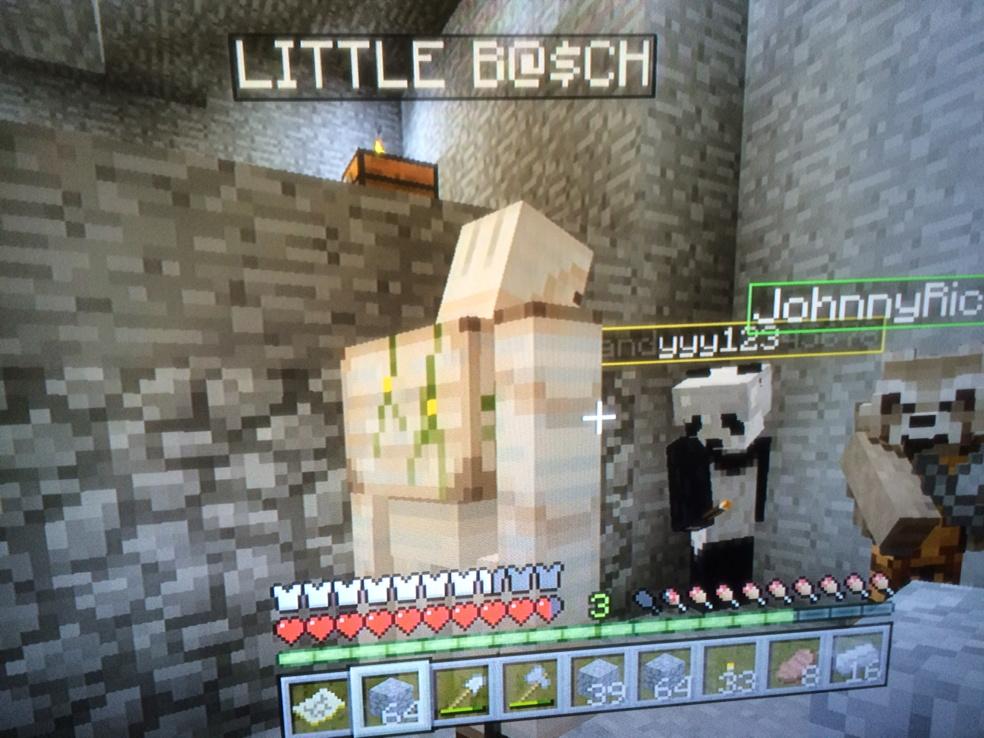 J0nyRico's tweet photo. “@MasterP_Twitch: He finally has name !!!! Now he can protect the homestead!! all fear Little B@tch! #minecraft360 http://t.co/FDYDhoXjc8”