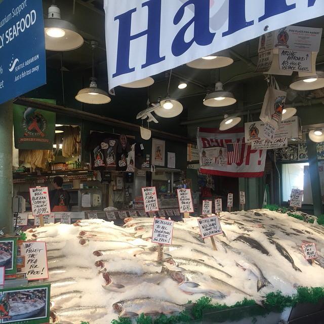 BoBecNews's tweet photo. [PIC] New pic posted by Becca Tobin about fishes in Seattle. https://t.co/RdeRvMR9Qw http://t.co/bMSyTJ90bb