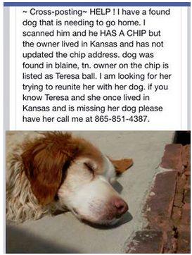 RoseOGreenhow's tweet photo. @teresasusan looking for owner. http://t.co/IAuquaOGmG