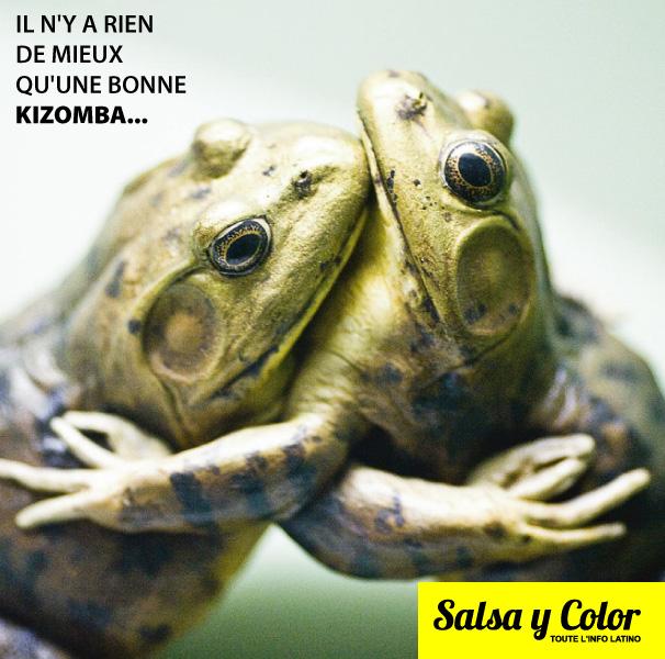 SalsayColor's tweet image. #salsaycolor #salsa #bachata #kizomba
RIEN DE MIEUX QU'UNE BONNE KIZOMBA !
salsaycolor.com/#!music-kizomb…