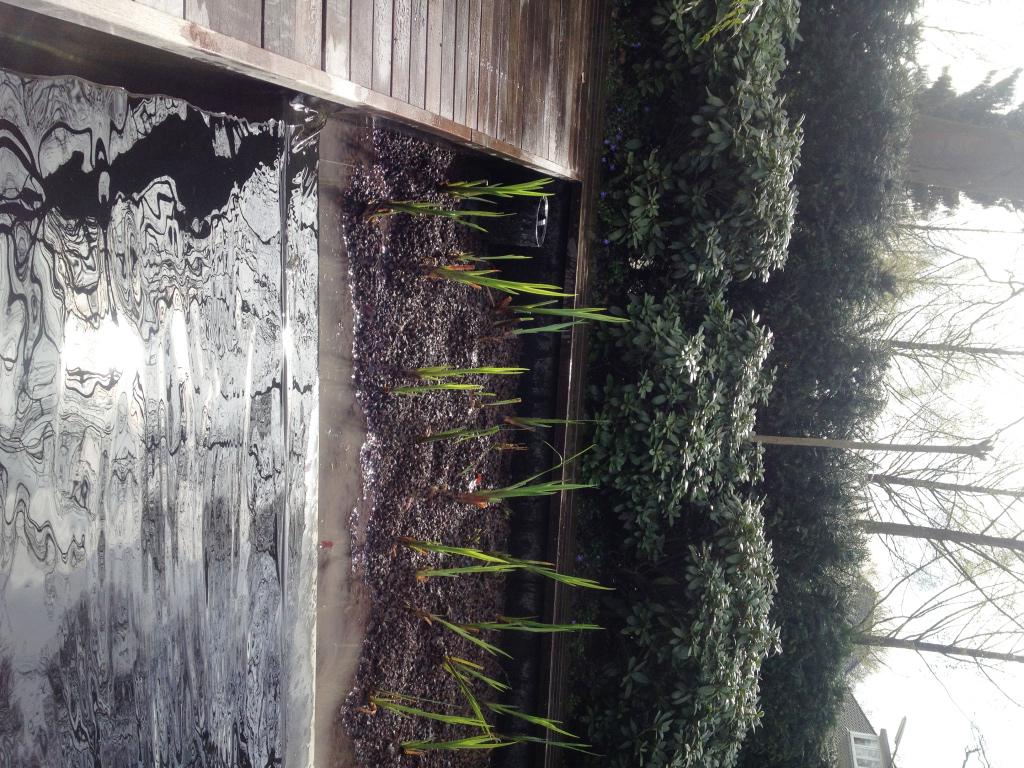 PUREWTR's tweet photo. De Irissen ontwaken! Goed onderhoud in het voorjaar garandeert een hele zomer zuiver zwemwater. http://t.co/OBGUgxphaZ
