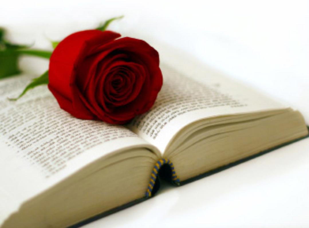 Enlace permanente de imagen incrustada