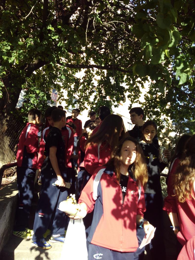 ColeVandelvira's tweet photo. Hoy celebramos el día del libro regalando poesía por las calles de Jaén http://t.co/w4YZfdt24U