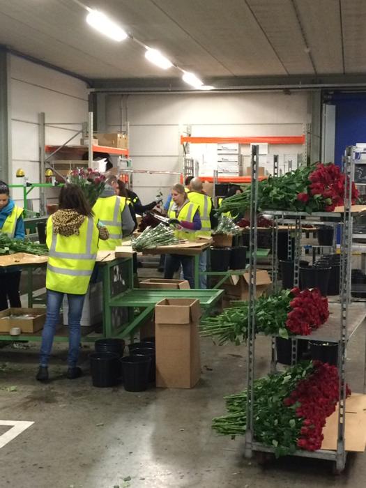 Inpaklijn @Finlays mooie kansen voor <a href="/MVOwestland/">MVO Westland</a>