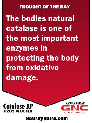 NGHCatalase's tweet photo. Avoid oxidative damage. See image.   #catalaseh2o2blocker http://t.co/0KeglkZYub