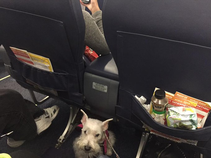 #LosAngeles we are home !!!! http://t.co/kSUZ1SVW5X<a href="/tag/losangeles"class="tags">#LosAngeles</a>
