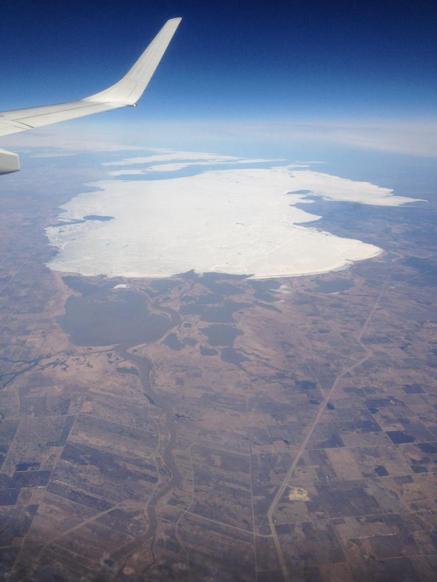 Andrew Arklie tweet media